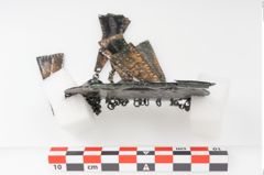 Foto von Bronzehalbmondgehängefibel (NHMW-PRAE-025551)